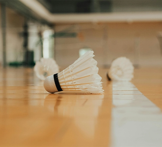 Badminton court — Chintamanis Sec 103